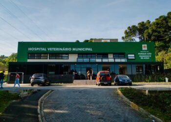Hospital Veterinário Municipal de Curitiba chega próximo à marca de 60 mil atendimentos.